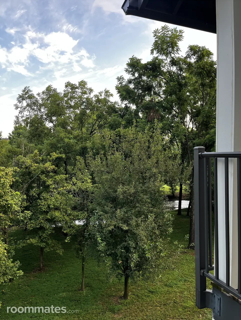 Profile photo 9 of 10