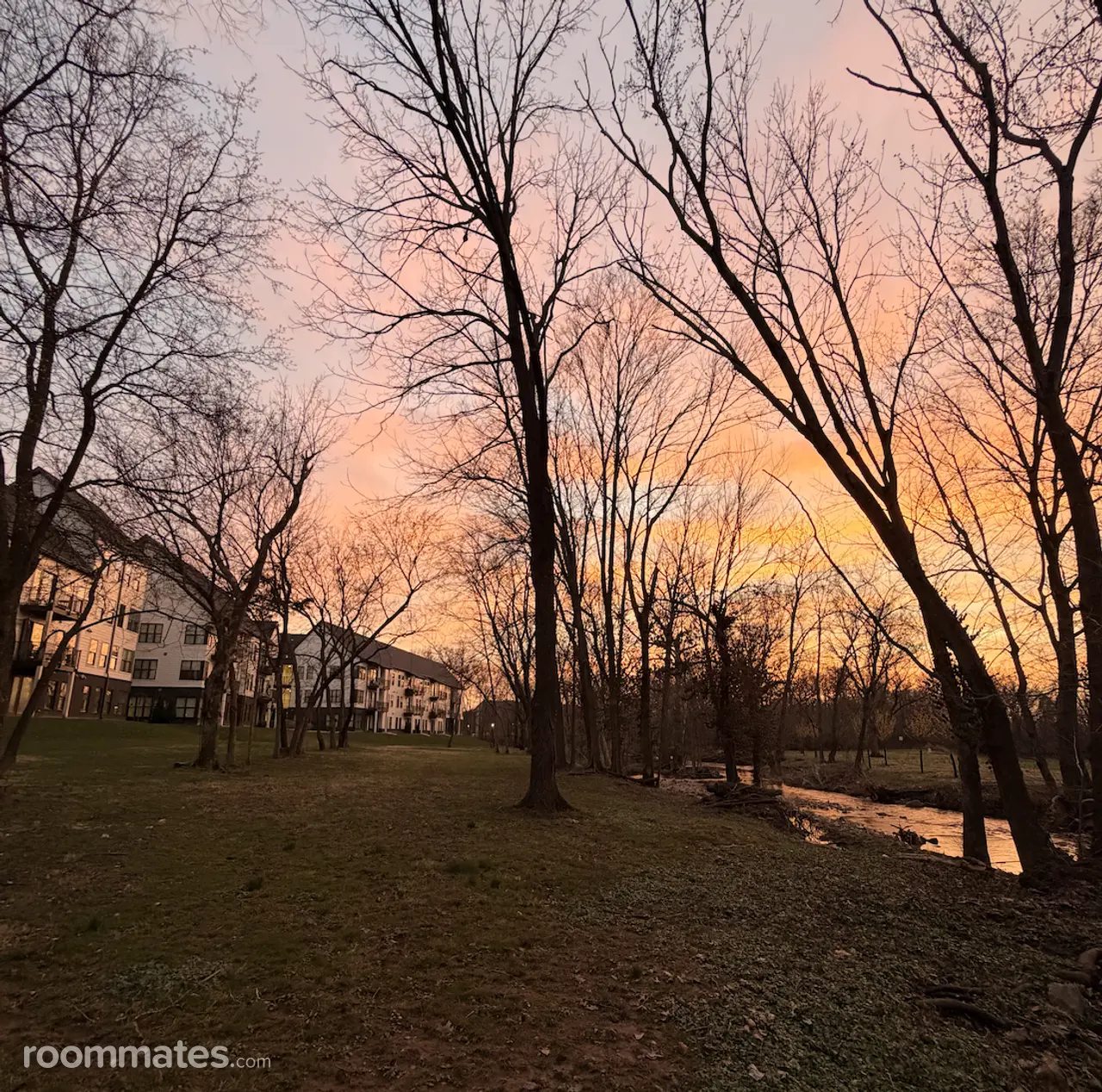 Profile photo 6 of 10