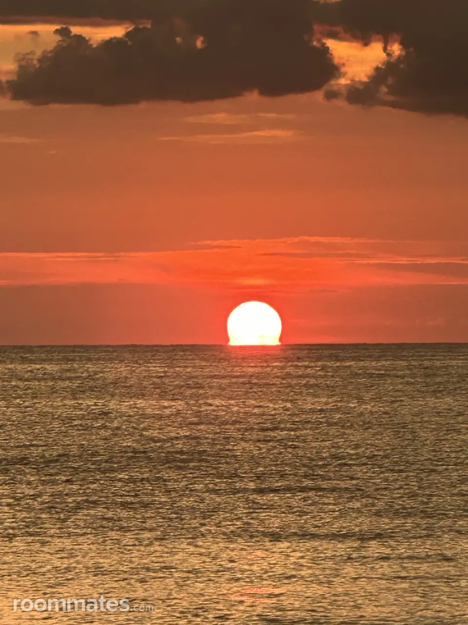 Profile photo 19 of 20