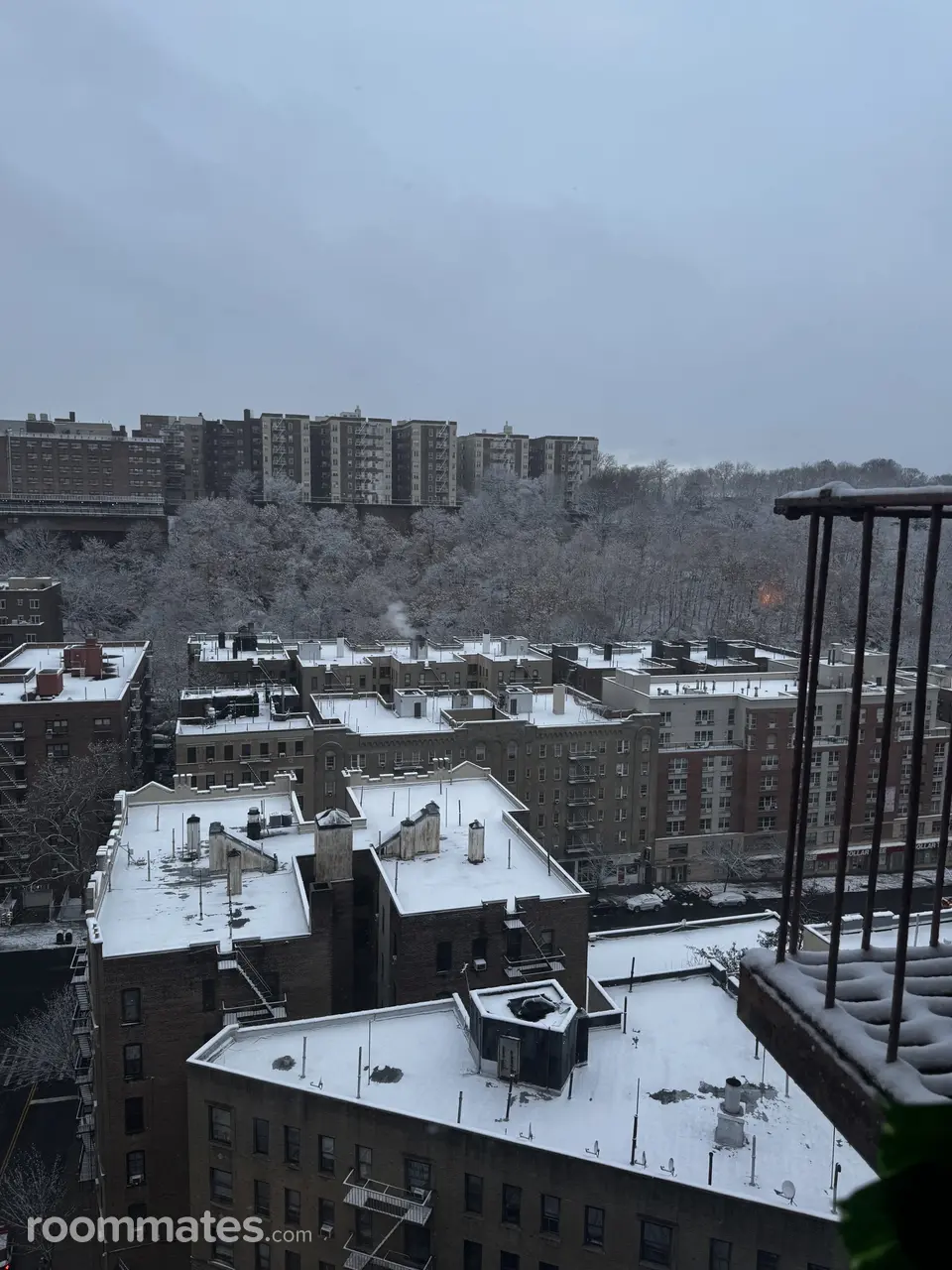 Profile photo 1 of 6