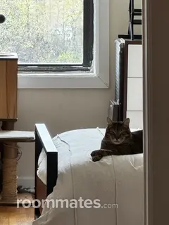 Room for rent in New York, NY $1200, apartment