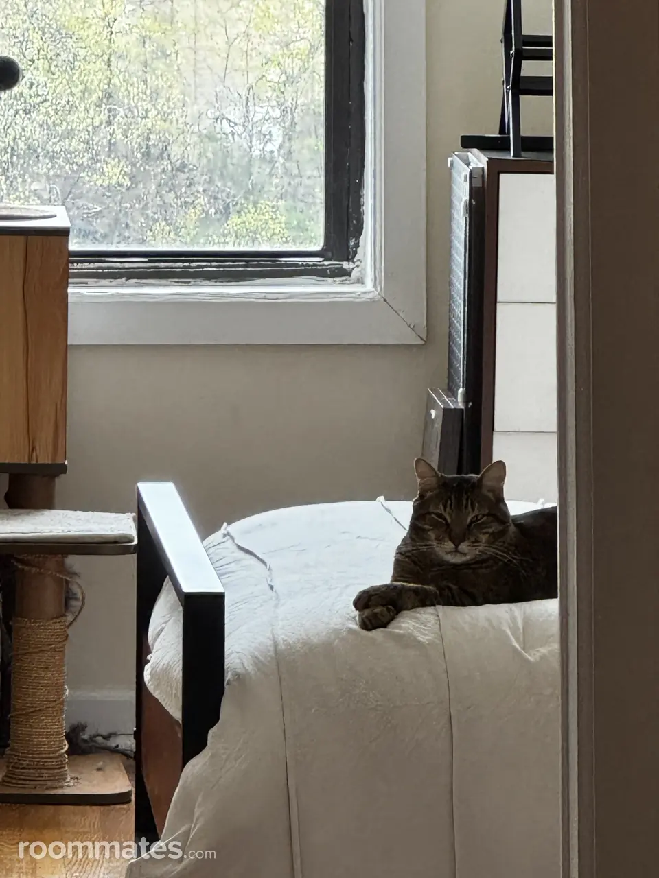 Profile photo 4 of 6