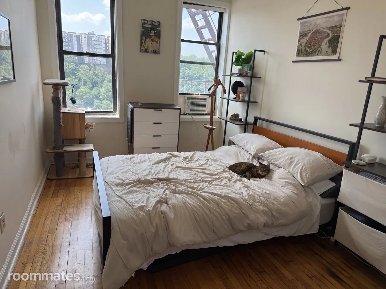 Profile photo 5 of 6