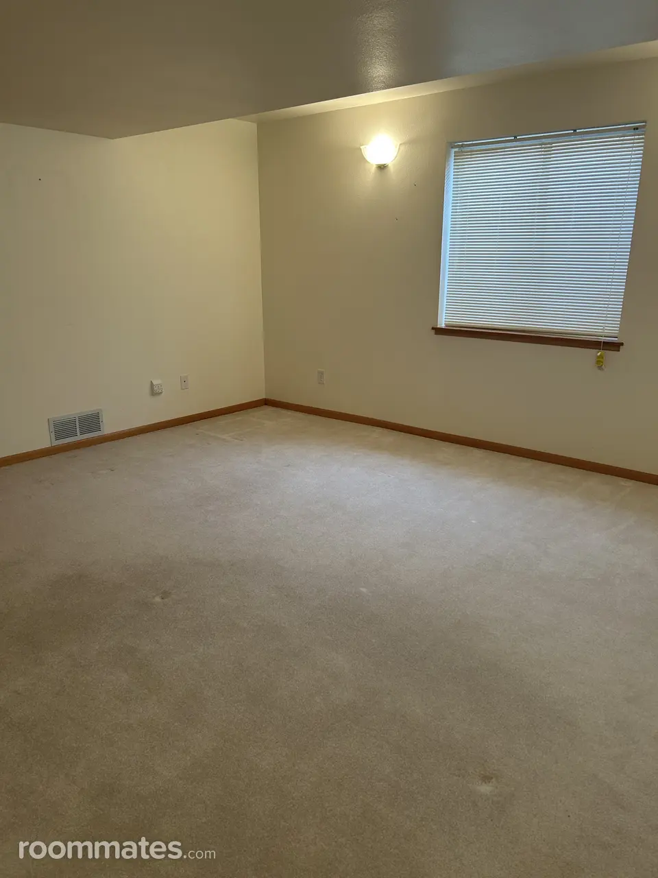 Profile photo 5 of 11