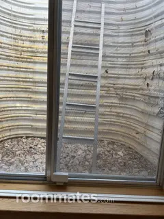 Room for rent in Longmont, CO $1150, house