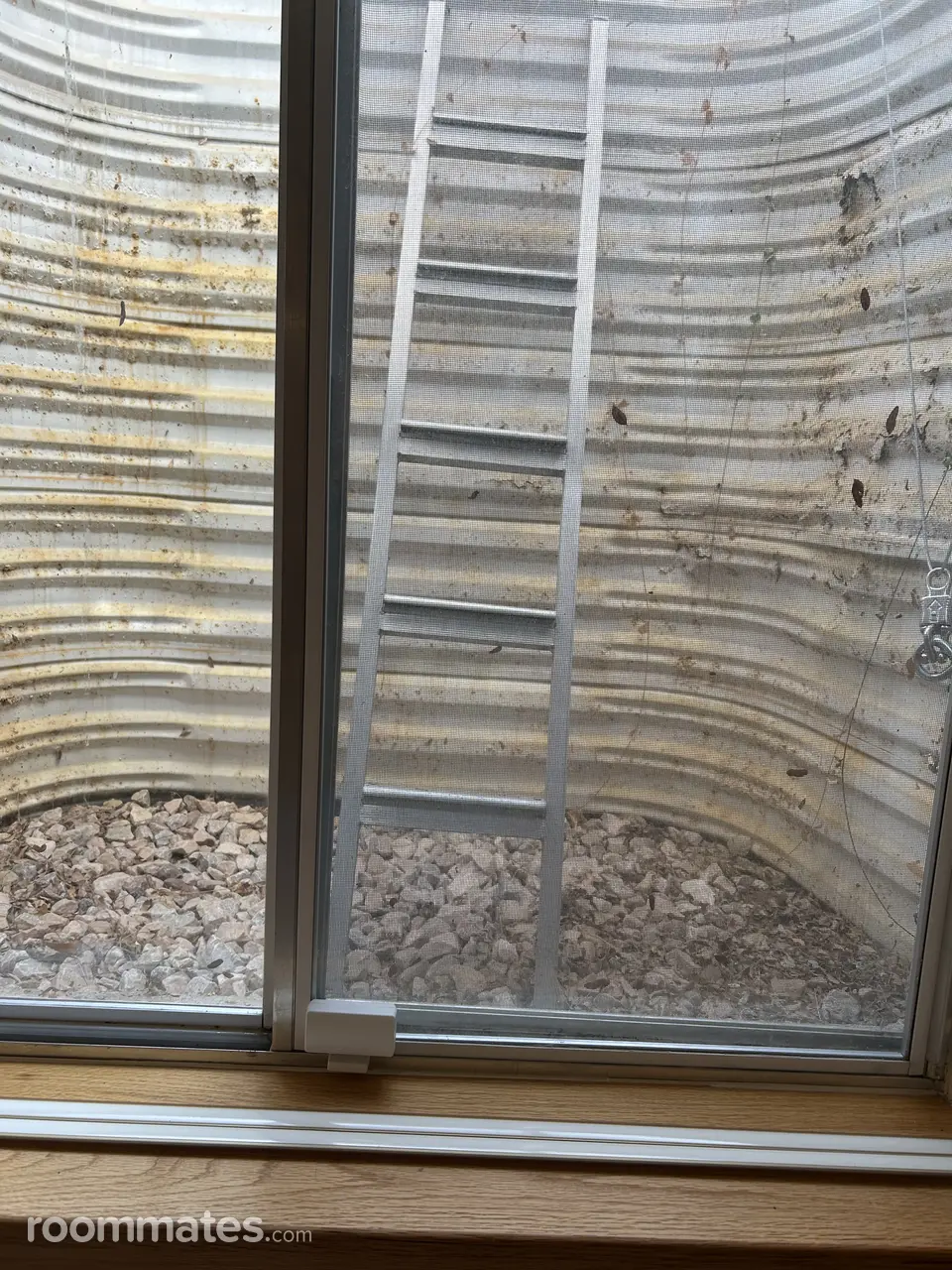 Profile photo 10 of 11