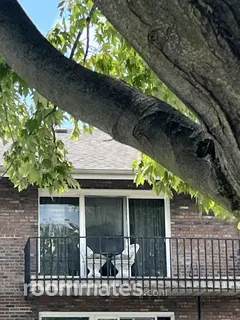 Room for rent in Oak Lawn, IL $700, condo