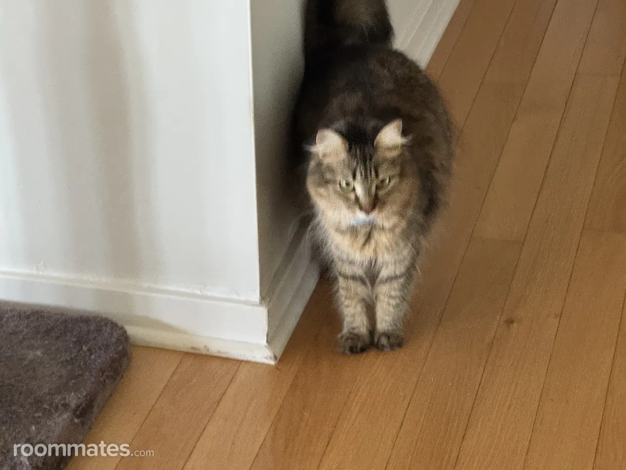 Profile photo 1 of 1