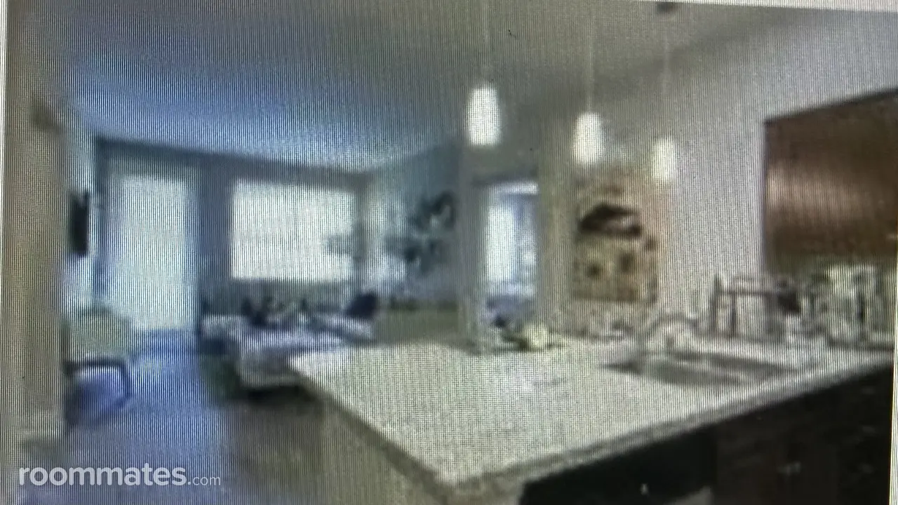 Profile photo 4 of 5