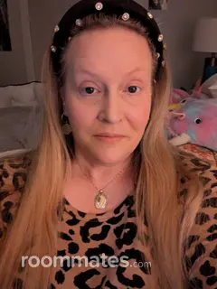 Roommate looking South Bend, IN, $600