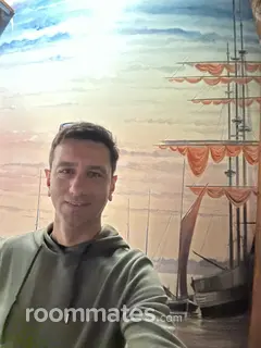 Roommate looking Dexter, MI, $800