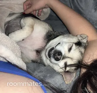 Room for rent in Santa Ana, CA $1320, house