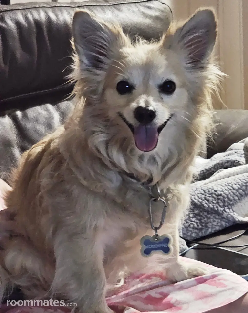 Profile photo 2 of 2