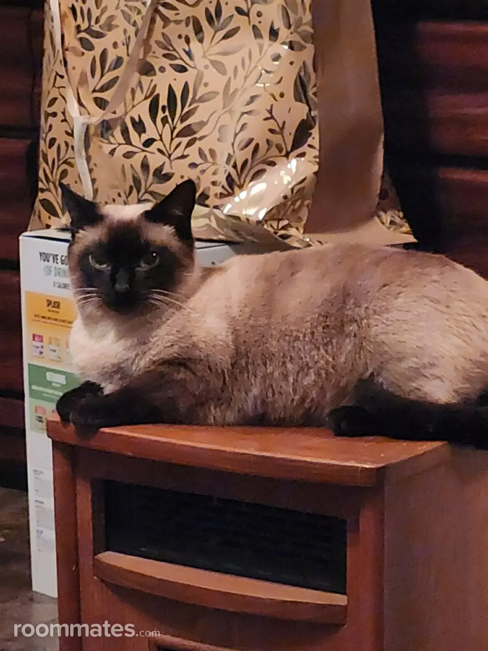 Profile photo 2 of 4