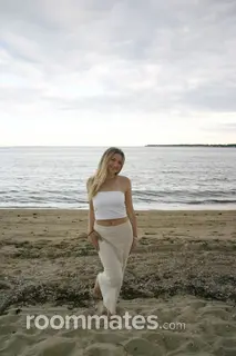 Roommate looking Newton, MA, $2000