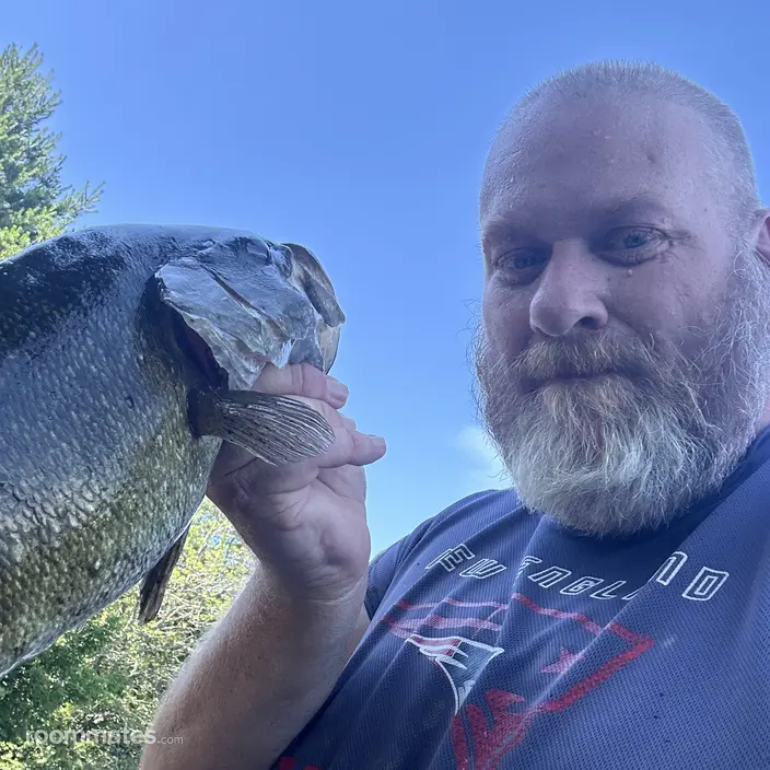 Roommate looking Salem, NH, $1400
