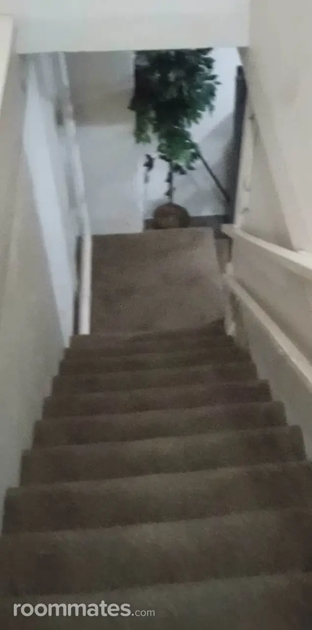 Profile photo 10 of 11