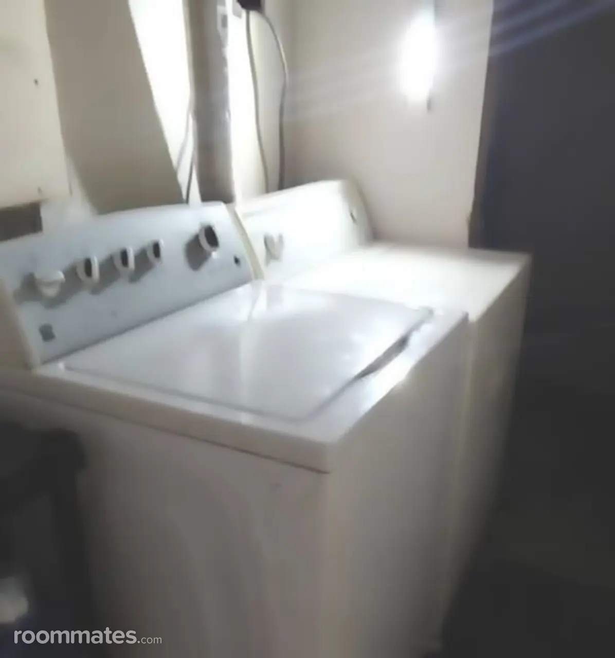 Profile photo 5 of 11