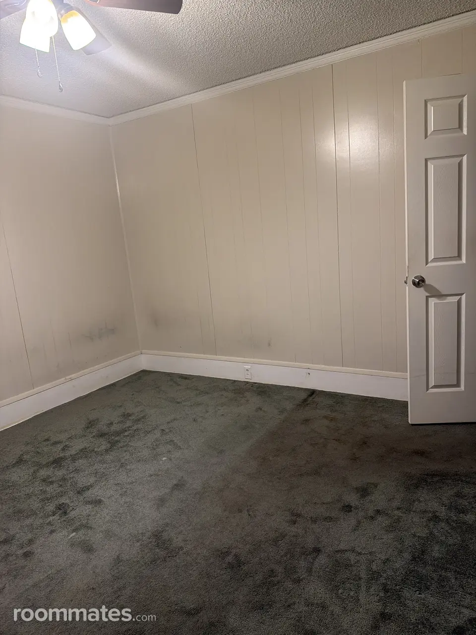 Profile photo 1 of 3