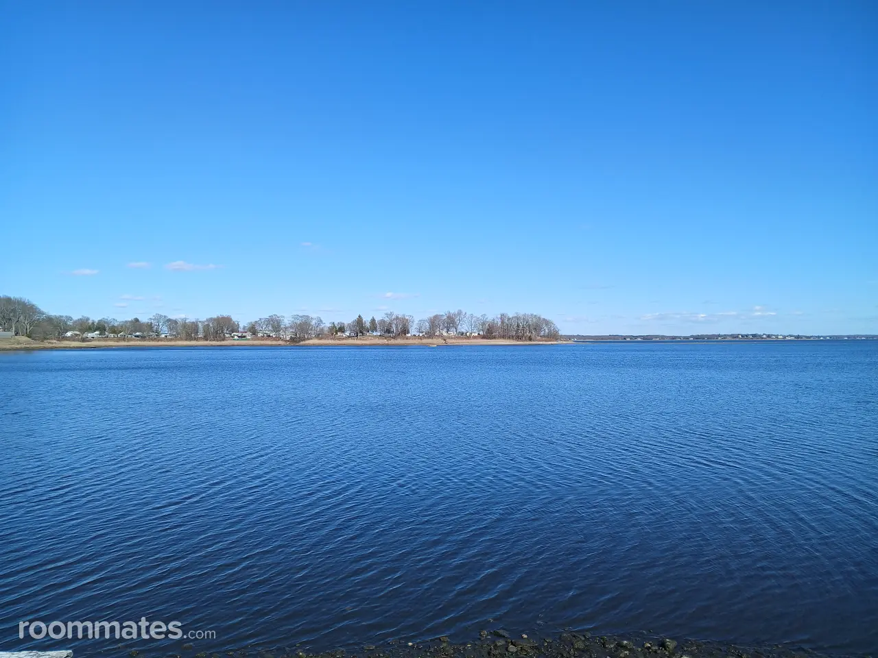 Profile photo 3 of 4