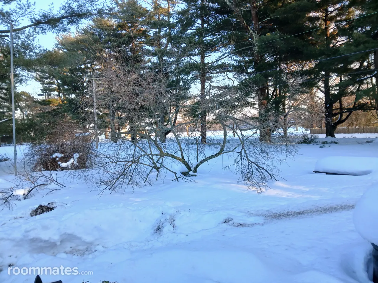 Profile photo 2 of 4