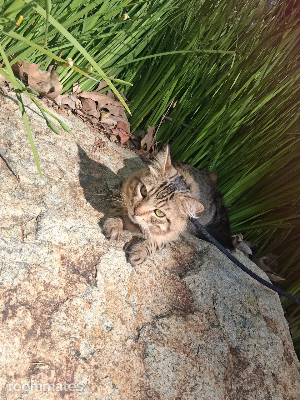 Profile photo 1 of 1