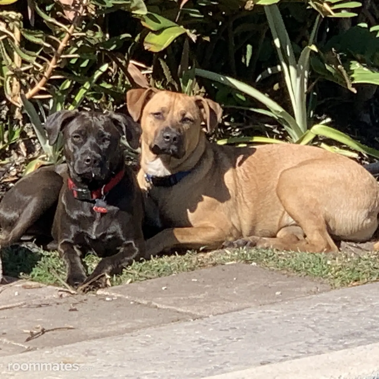 Profile photo 8 of 12