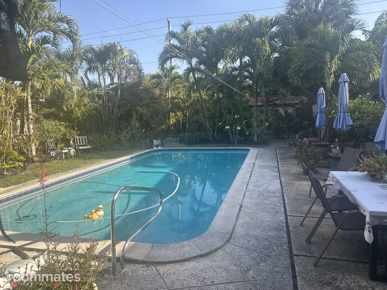 Profile photo 11 of 12