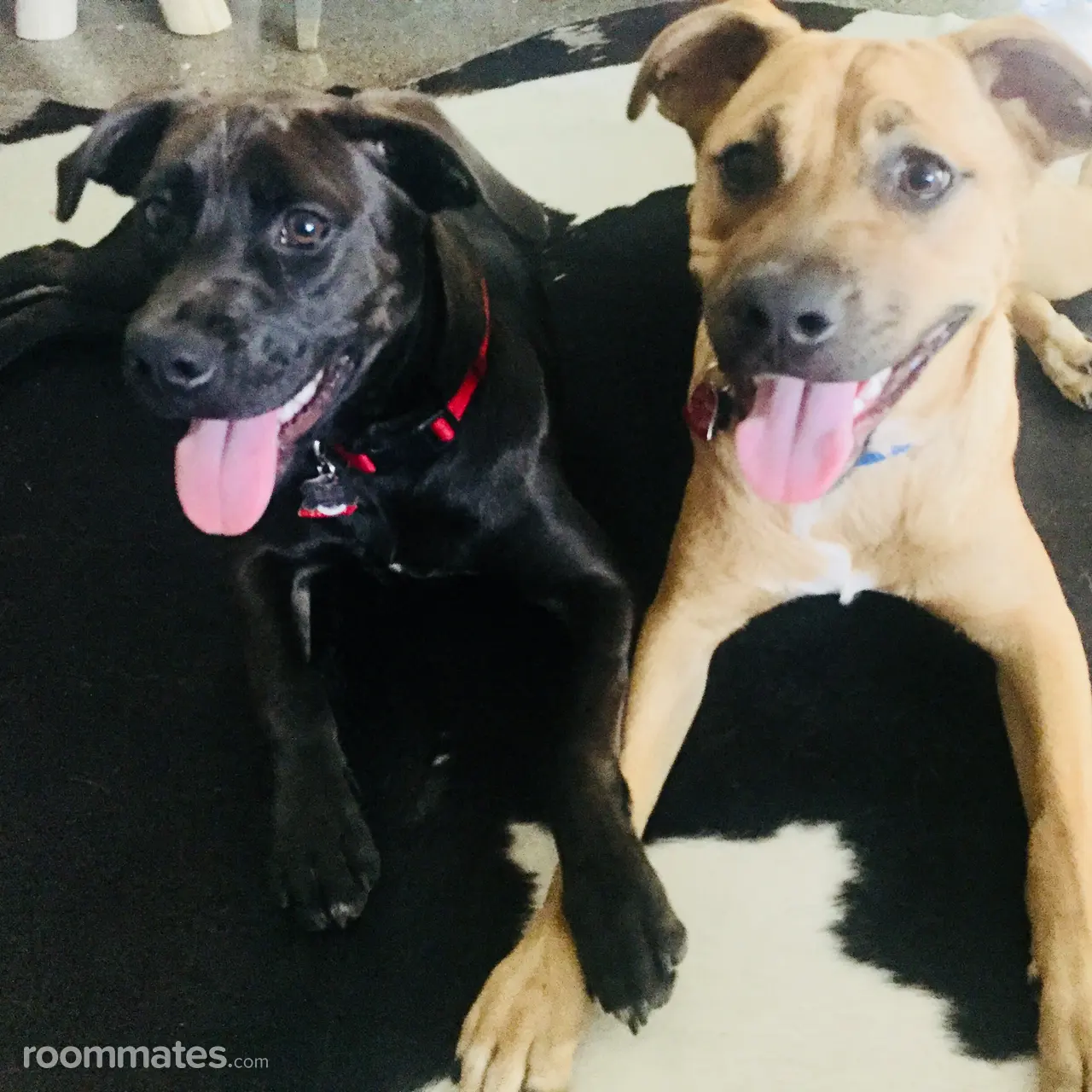 Profile photo 10 of 12