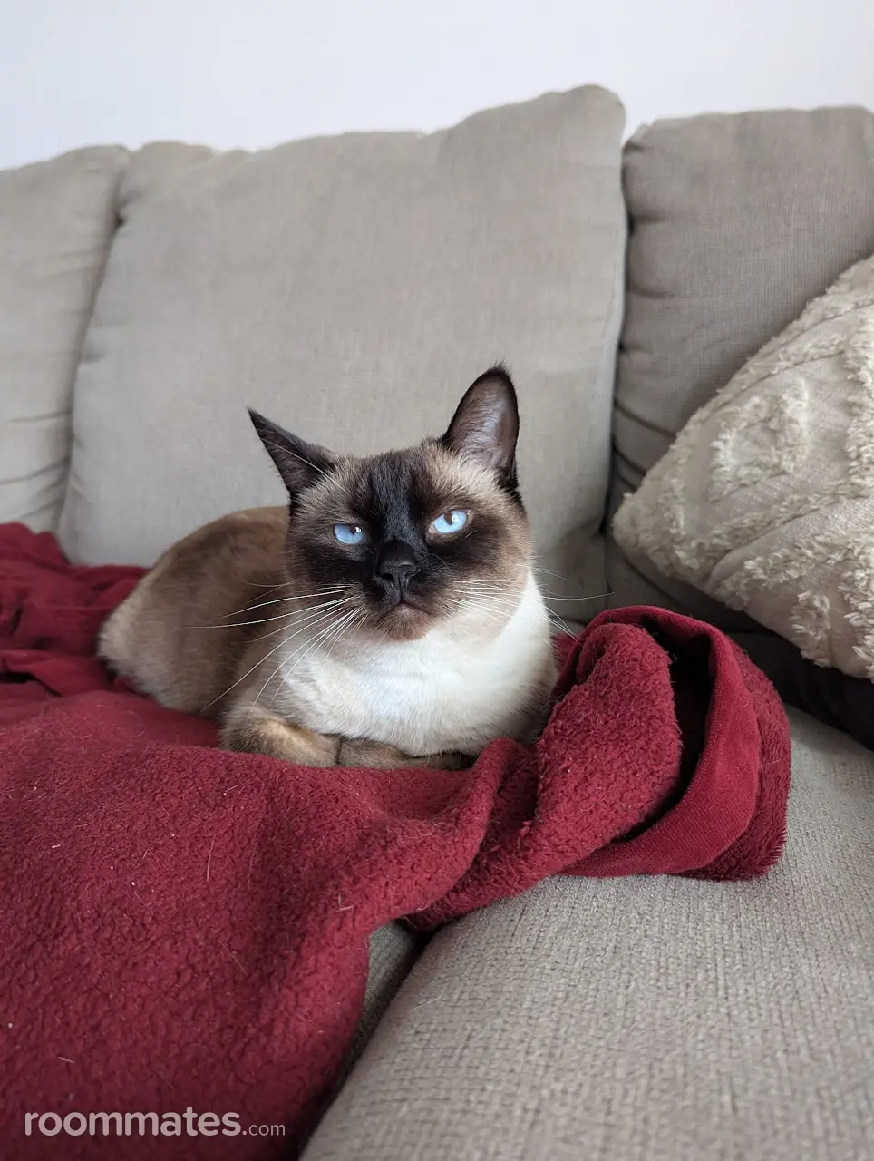 Profile photo 2 of 3