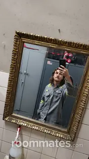 Roommate looking Tampa, FL, $800