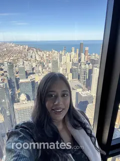 Roommate looking Coral Gables, FL, $1200