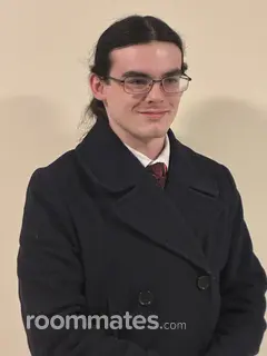 Roommate looking Roseville, MI, $500