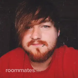 Roommate looking Raleigh, NC, $700