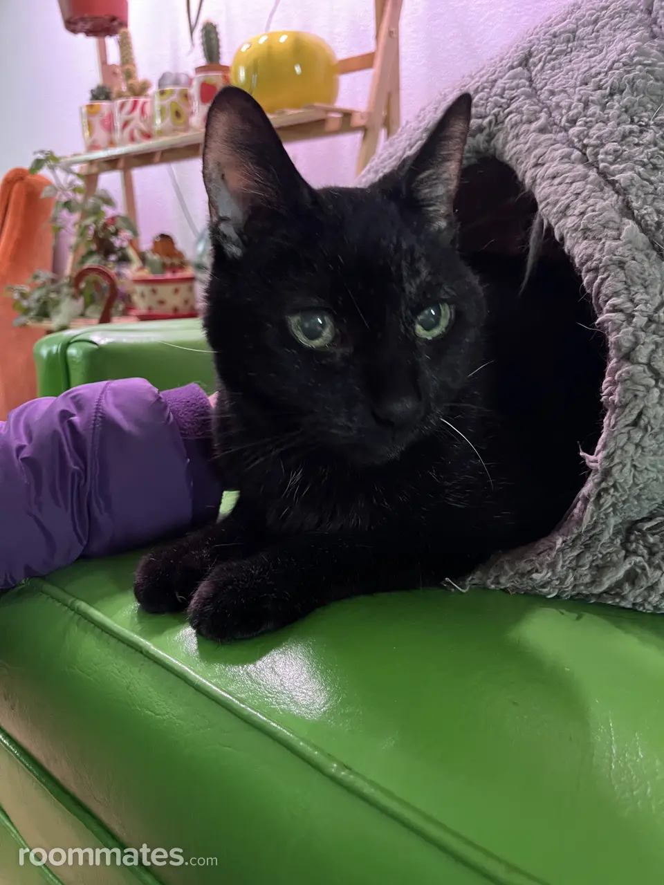 Profile photo 1 of 1