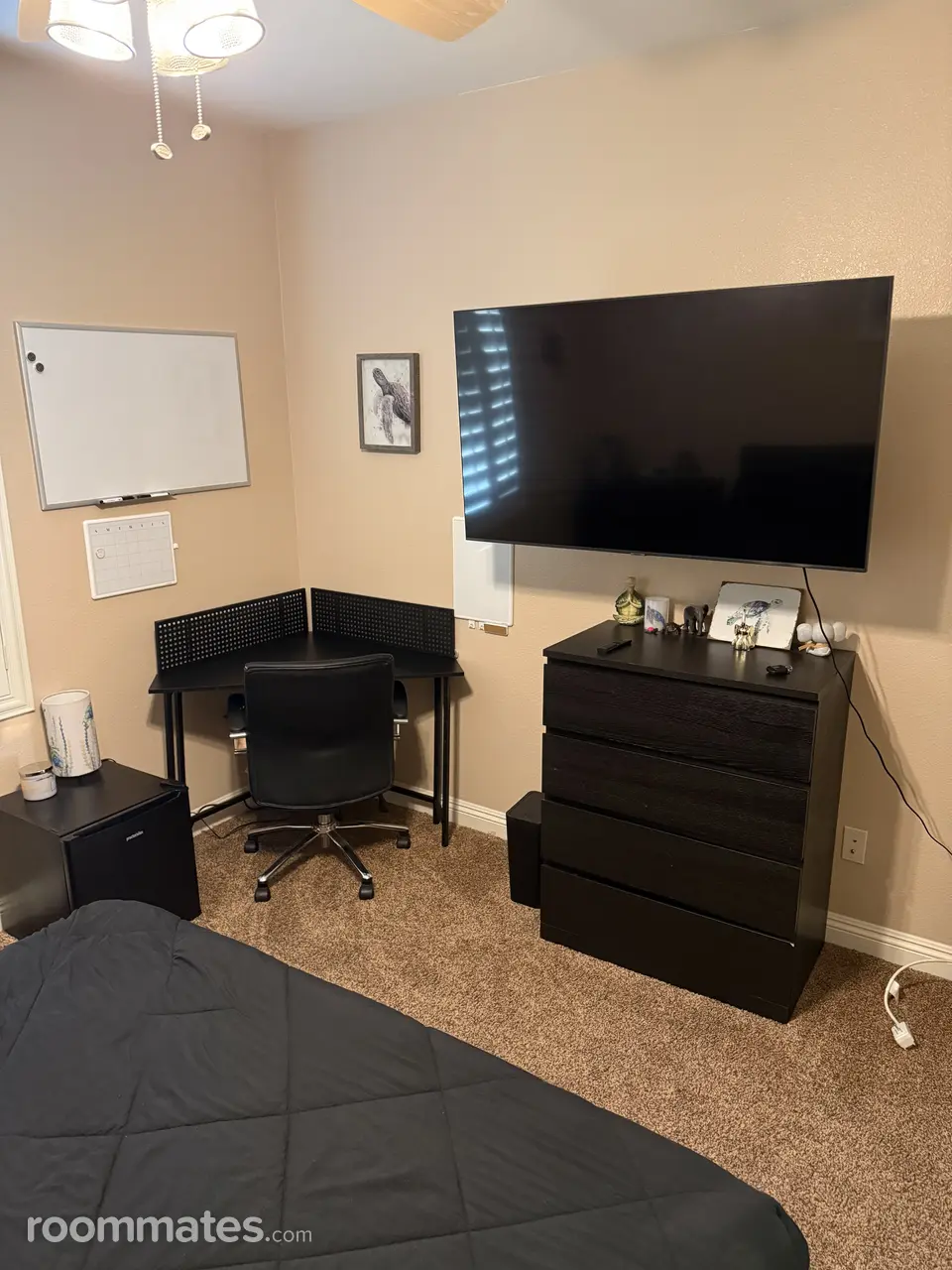 Profile photo 1 of 5