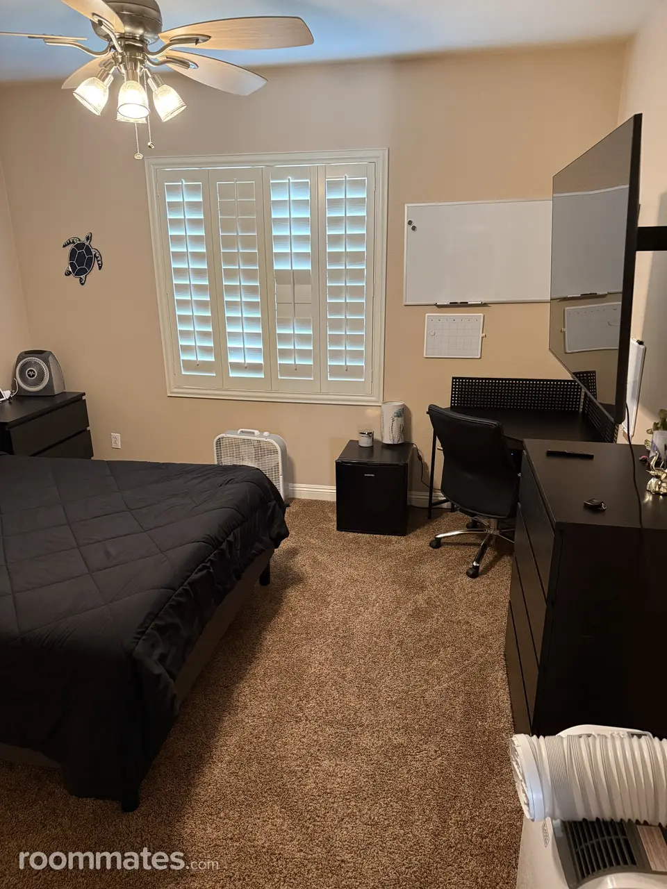 Profile photo 3 of 5