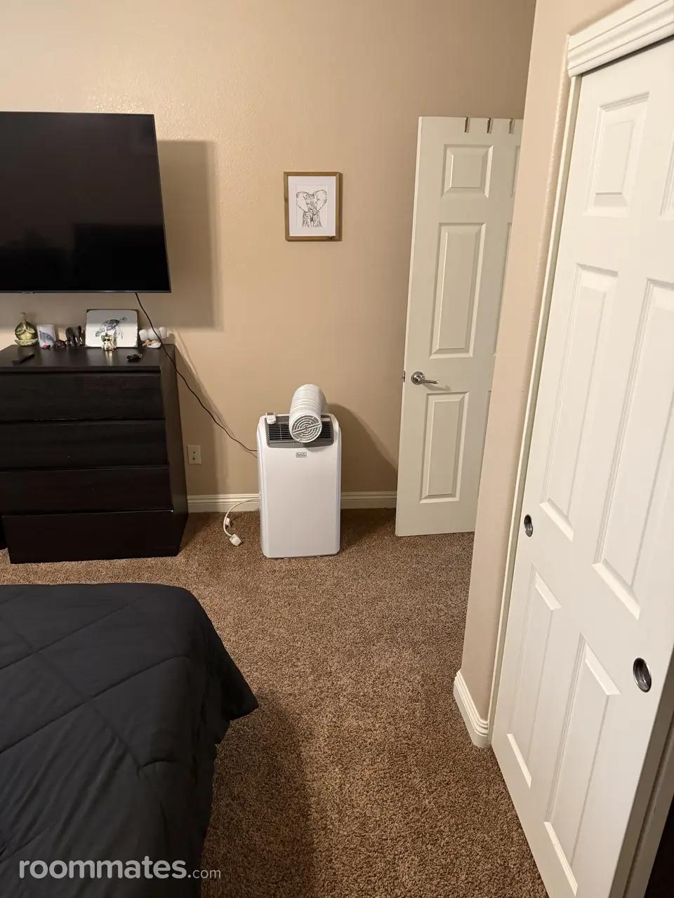 Profile photo 2 of 5