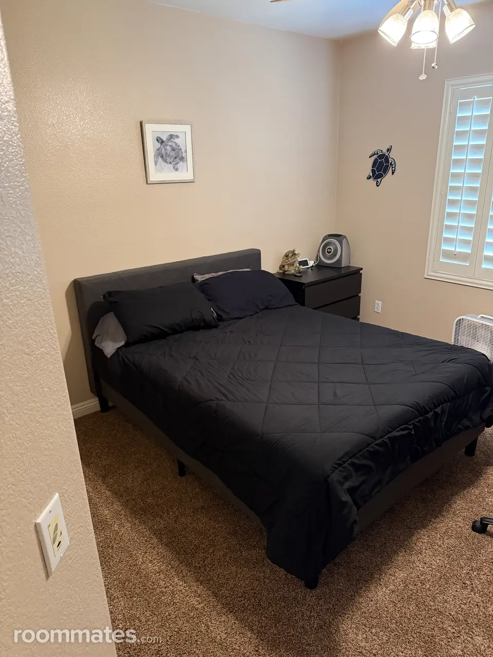 Profile photo 4 of 5