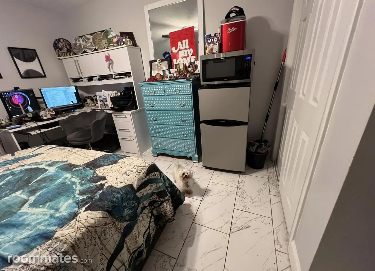 Profile photo 2 of 11