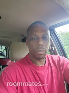 Roommate looking Dayton, OH, $600