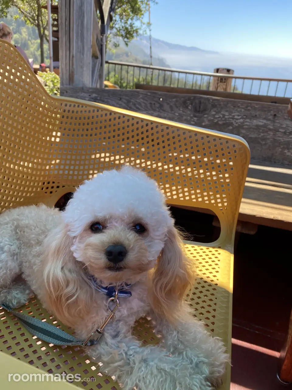 Profile photo 3 of 3