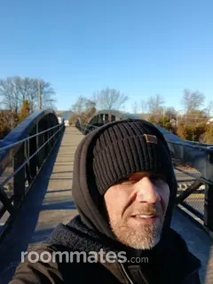 Roommate looking Ballwin, MO, $800