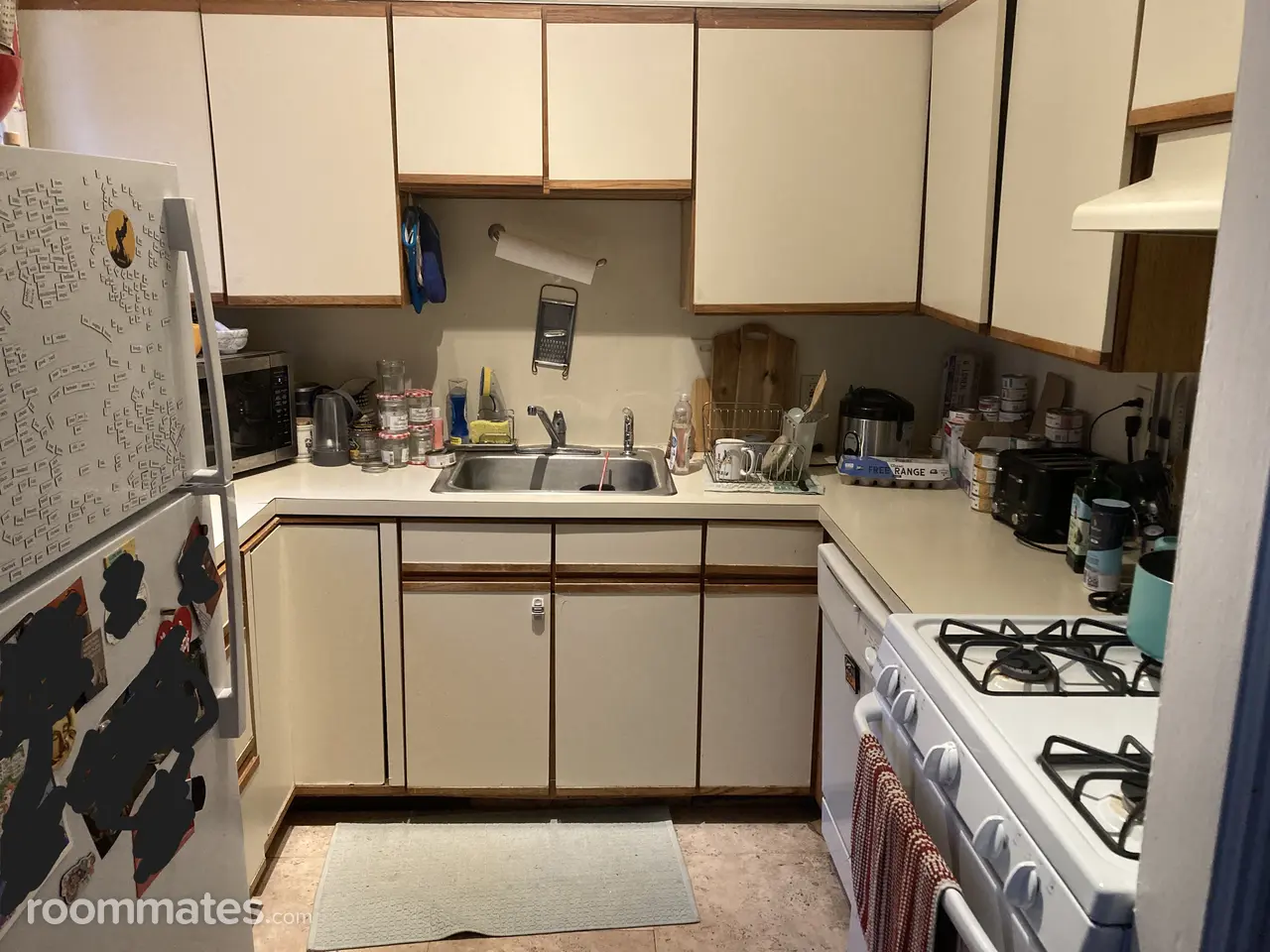 Profile photo 1 of 12