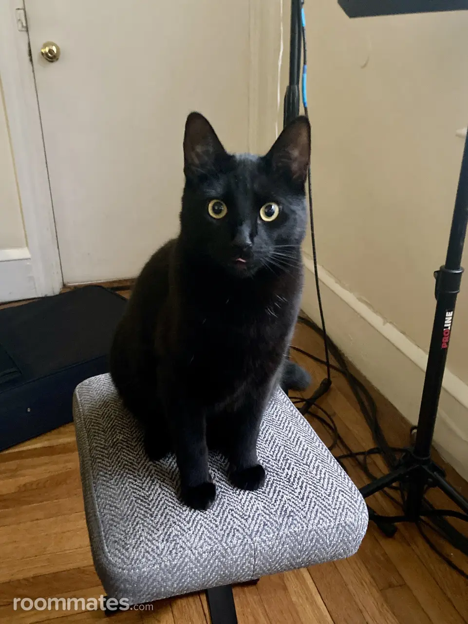 Profile photo 9 of 12