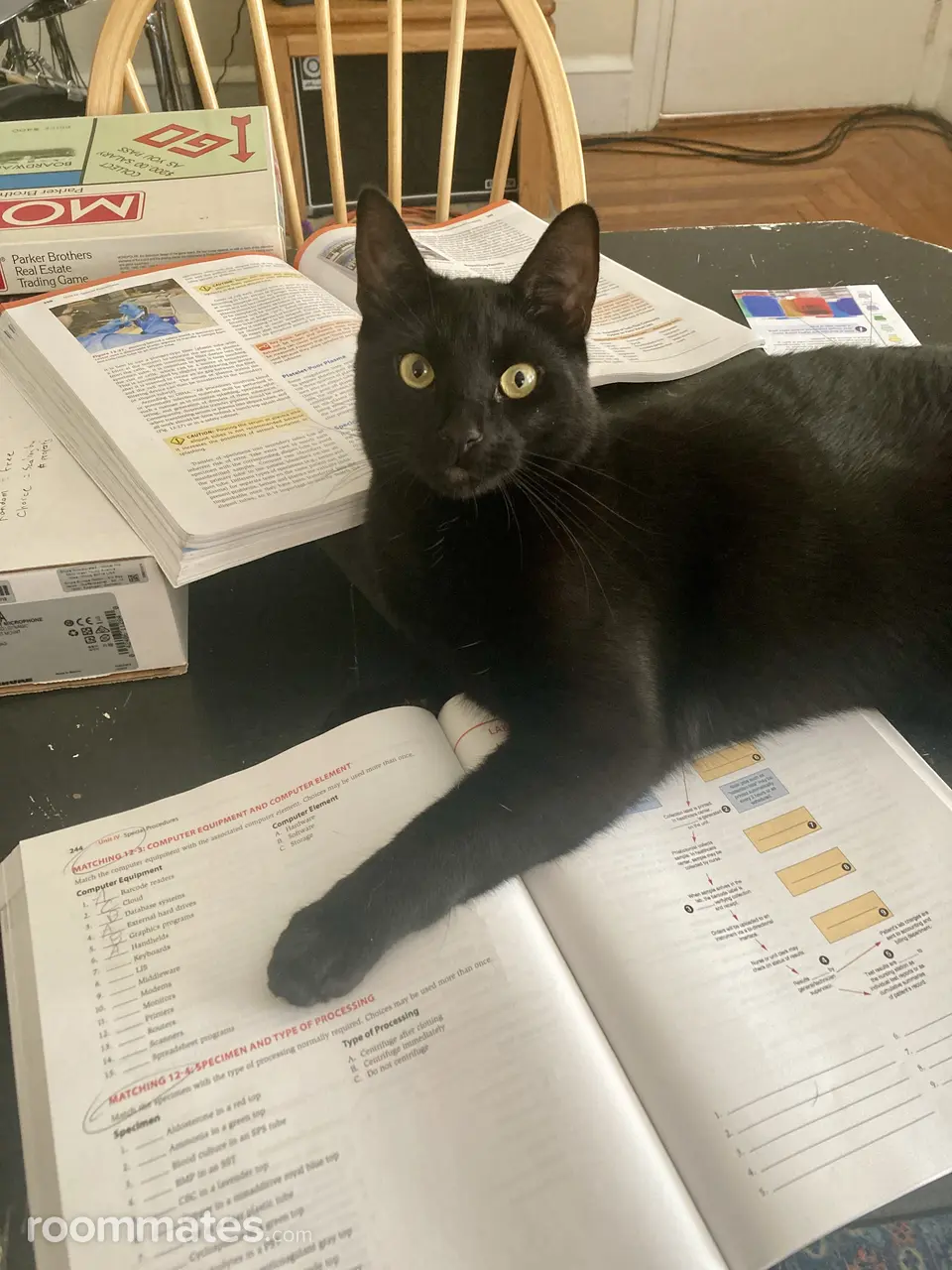 Profile photo 11 of 12