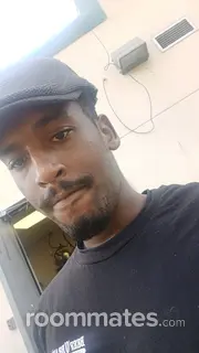 Roommate looking Land O Lakes, FL, $800