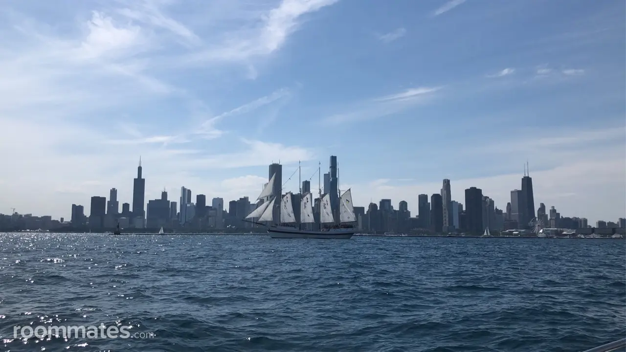 Profile photo 7 of 8