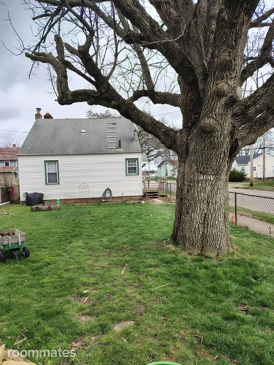 Profile photo 1 of 2