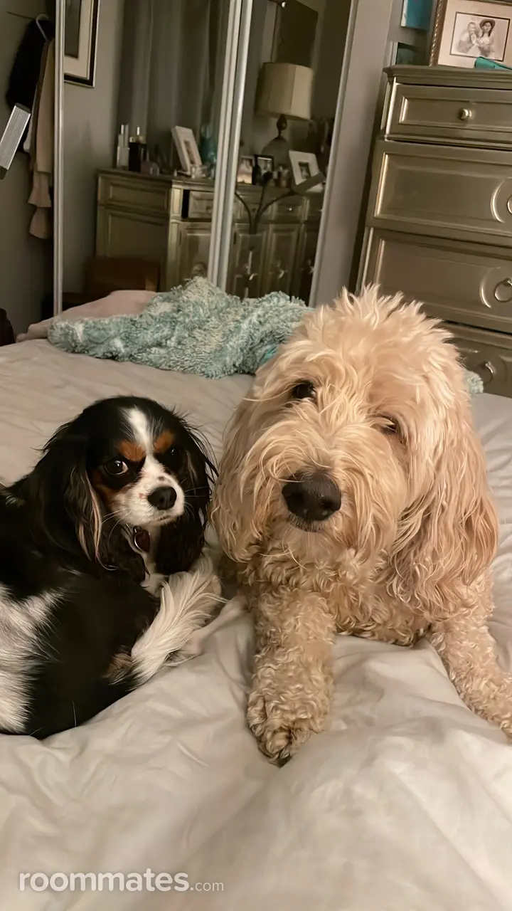 Profile photo 3 of 3